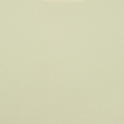 [79240] BEIGE, PLAIN
