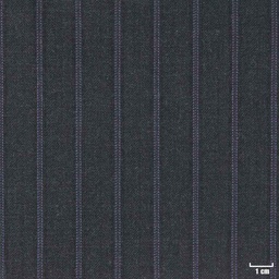 [210505] CHARCOAL, PURPLE STRIPES
