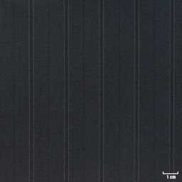 [810609] BLACK,STRIPES