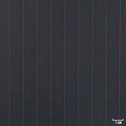 [210804] BLACK, PURPLE STRIPES