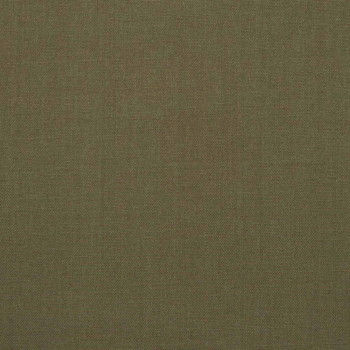 [221420] BROWN, PLAIN