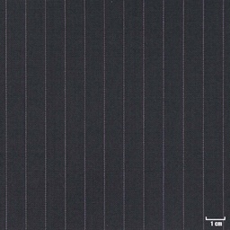 [210410] BLACK, PURPLE STRIPES