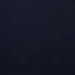 [501171] BLUE, PLAIN