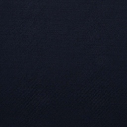 [501170] BLUE, PLAIN