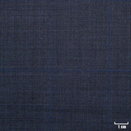[501317] BLUE, BIG BLUE CHECKS