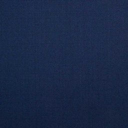 [209650] BLUE,PLAIN