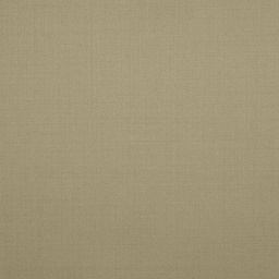 [500361] BEIGE,PLAIN