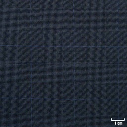 [500315] BLUE, BIG BLUE CHECKS