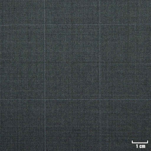 [203301] LIGHT GREY, BLUE CHECKS