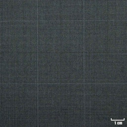 [500317] LIGHT GREY, BLUE CHECKS