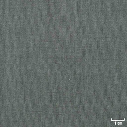 [222424] LIGHT GREY, PLAIN