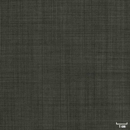[212902] LIGHT BROWN, DOTTED PATTERN