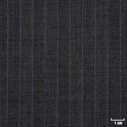 [270301] GREY, PURPLE STRIPES