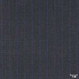 [270309] DARK GREY, PURPLE STRIPES