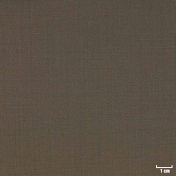 [209961] LIGHT BROWN, PLAIN