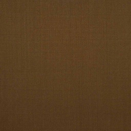 [501384] BROWN,PLAIN