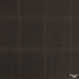 [222627] BROWN, BROWN CHECKS