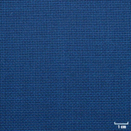 [822046] BLUE, HOPSACK