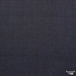[501328] GREY, RED CHECKS