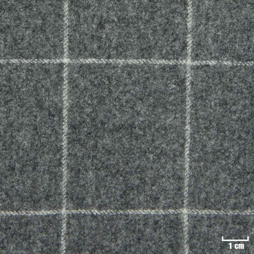 [227263] GREY, OFF WHITE CHECKS
