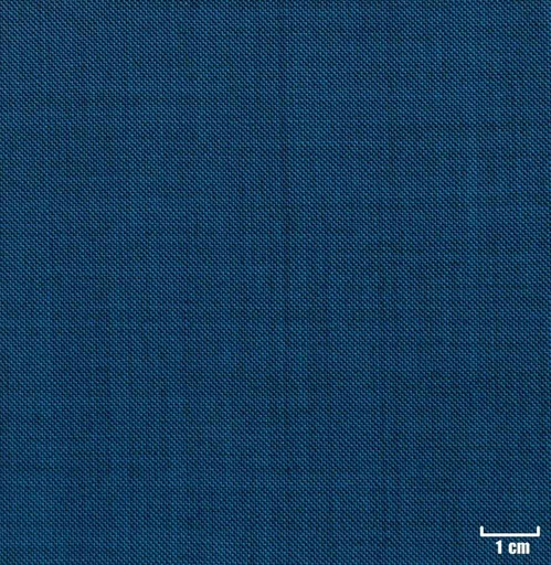 [222751] BLUE, SHARKSKIN