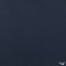 [822637] BLUE, BIRDEYE