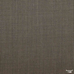 [810671] KHAKI, BIRDEYE