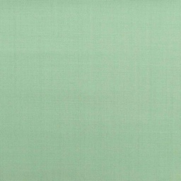 [107663] GREEN, PLAIN