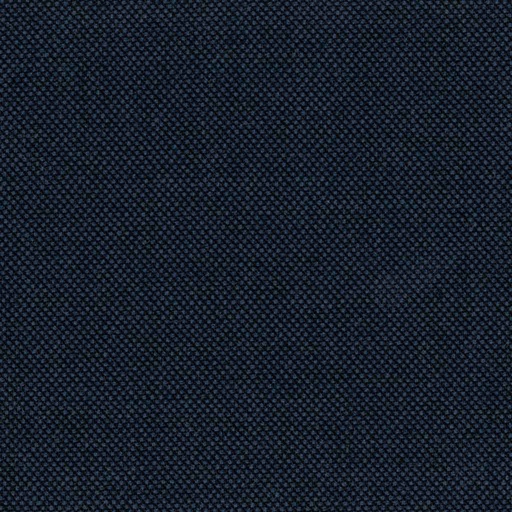 [314136] BLUE, BIRDEYE