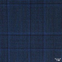 [314410] BLUE, CHECKS
