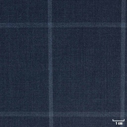 [314438] BLUE, CHECKS