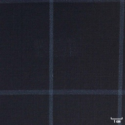 [314439] DARK BLUE, CHECKS