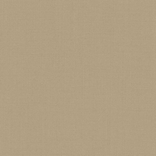 [315251] TAN, PLAIN
