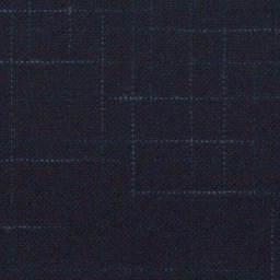 [316208] DARK BLUE, CHECKS (DR# 85008)