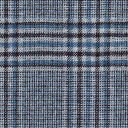 [316218] BLUE, CHECKS (DR# 85018)