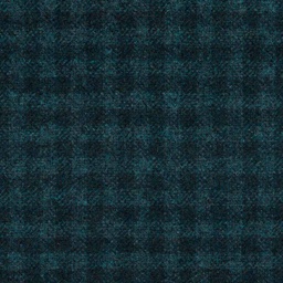 [316233] BLUE, CHECKS (DR# 85033)