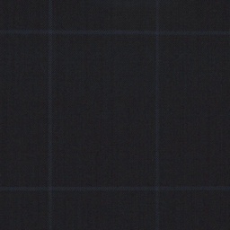 [316311] DARK BLUE, CHECKS (DR# 40011)