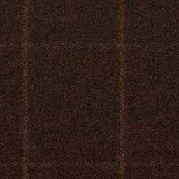[316404] BROWN, CHECKS