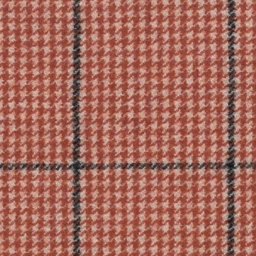 [316407] RED, BLACK CHECKS