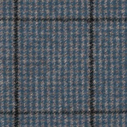 [316408] BLUE, BLACK CHECKS