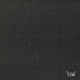[350921] DARK GREY, BIRDEYE