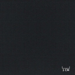 [350922] BLUE, BIRDEYE