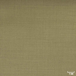 [351821] OLIVE, PLAIN