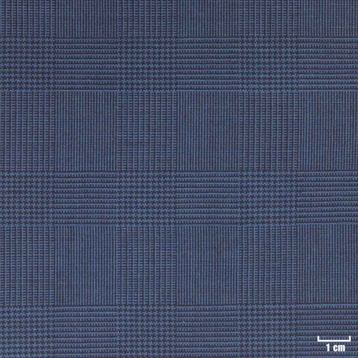 [351903] BLUE, CHECKS