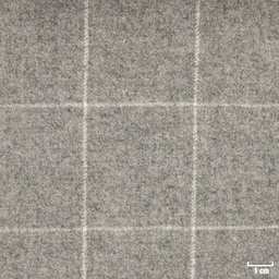 [352015] LIGHT GREY, CHECKS