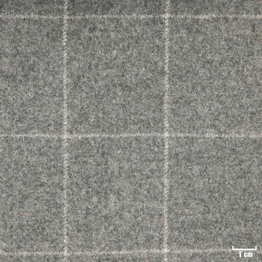 [352016] GREY, CHECKS