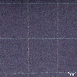 [352019] BLUE, CHECKS