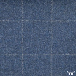 [352020] BLUE, CHECKS
