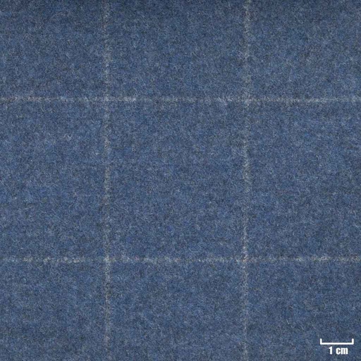 [352020] BLUE, CHECKS