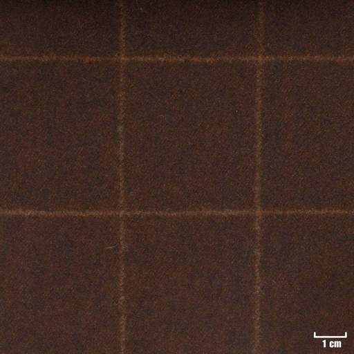 [352022] BROWN, CHECKS